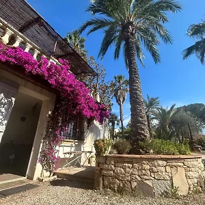 Les Palmiers Appartement